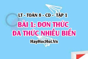 Khái niệm đơn thức, đa thức nhiều biến, đơn thức thu gọn, đa thức thu gọn? Toán 8 bài 1 [b1c1cd1]